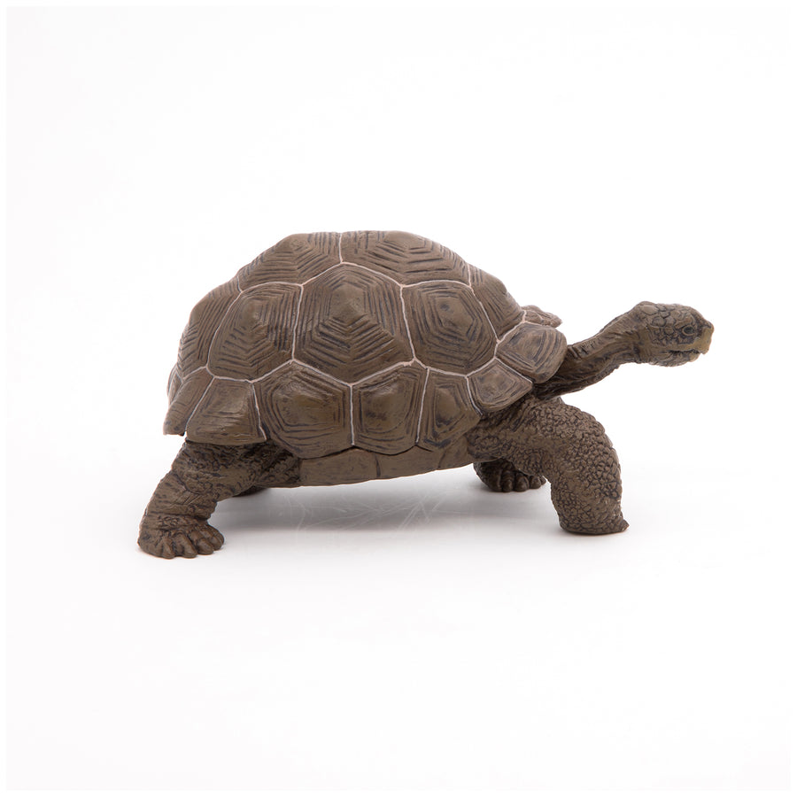 Figurine Tortue des Galápagos Papo en PVC, thème reptiles, Collection Animaux sauvages, jouet éducatif idéal pour enfants et collectionneurs