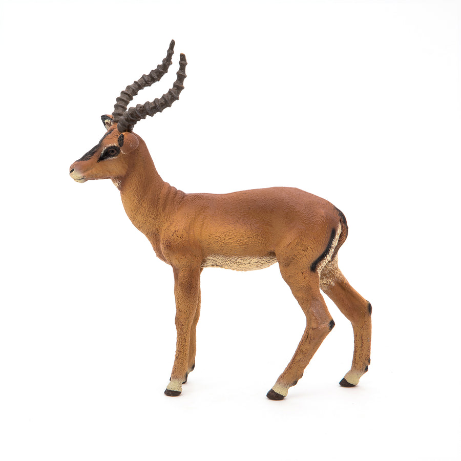 Figurine Impala Papo en PVC, thème savane, Collection Animaux sauvages, jouet éducatif idéal pour enfants et collectionneurs