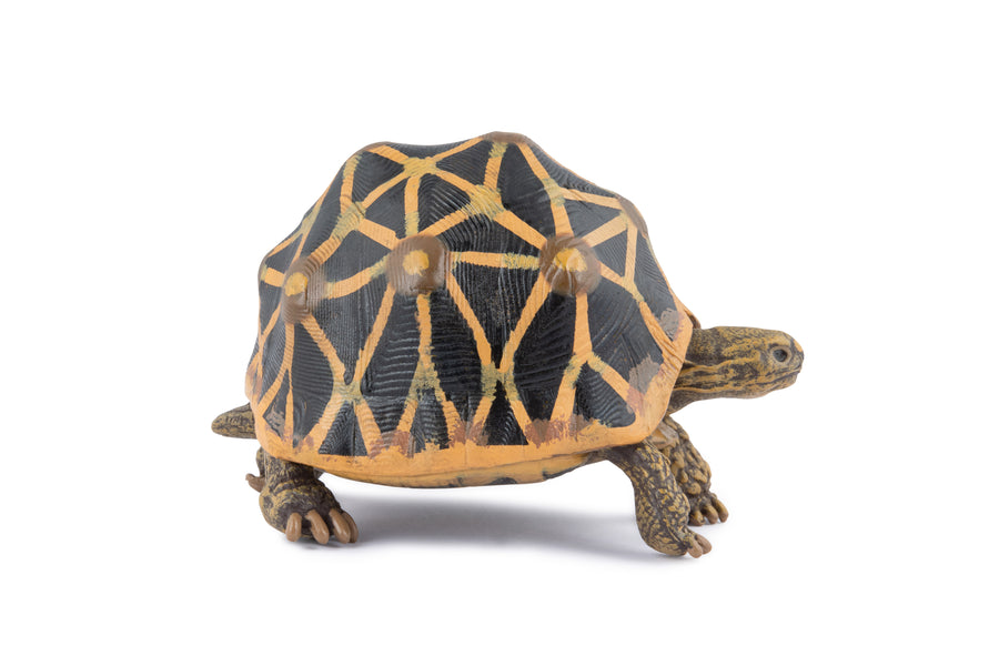 Star tortoise Figurine