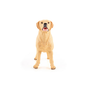 Figurine Labrador Papo en PVC, Collection chiens et chats, jouet éducatif idéal pour enfants et collectionneurs