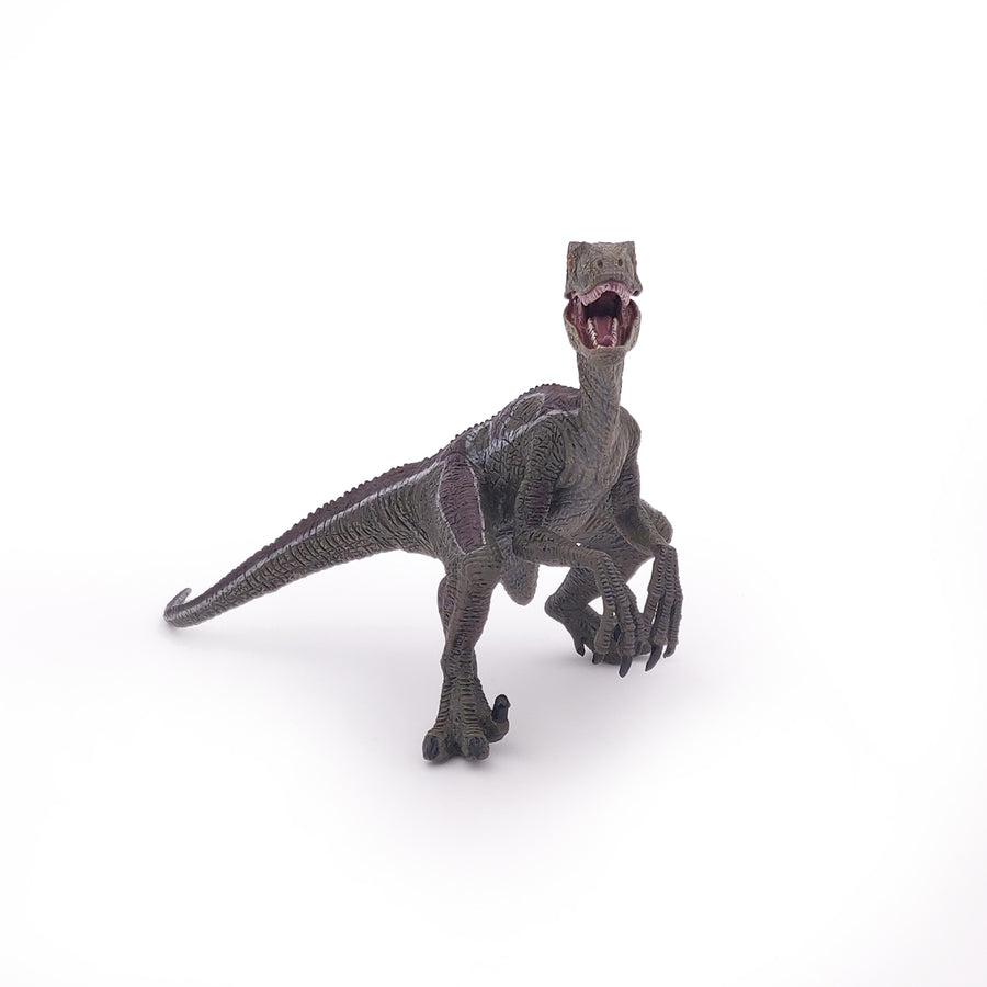 Vélociraptor Papo en PVC, Collection Dinosaures, jouet éducatif idéal pour enfants et collectionneurs