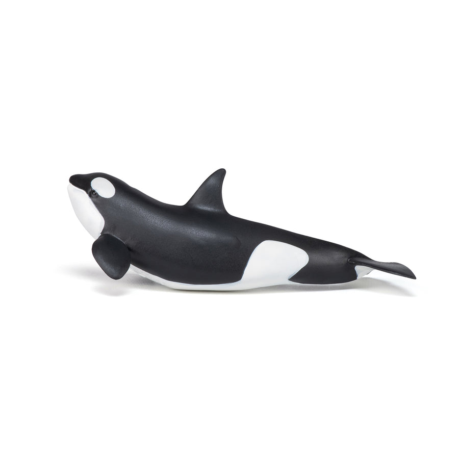 Figurine Bébé orque Papo en PVC, Collection animaux marins, jouet éducatif idéal pour enfants et collectionneurs